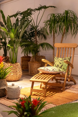 【緑のオアシス】植物を用いた涼しげな夏の空間装飾をご紹介