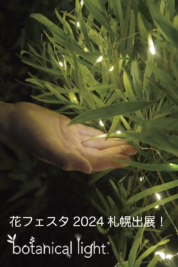 【札幌初開催】花フェスタ2024 札幌にて、植物発電ボタニカルライトを展示しました！